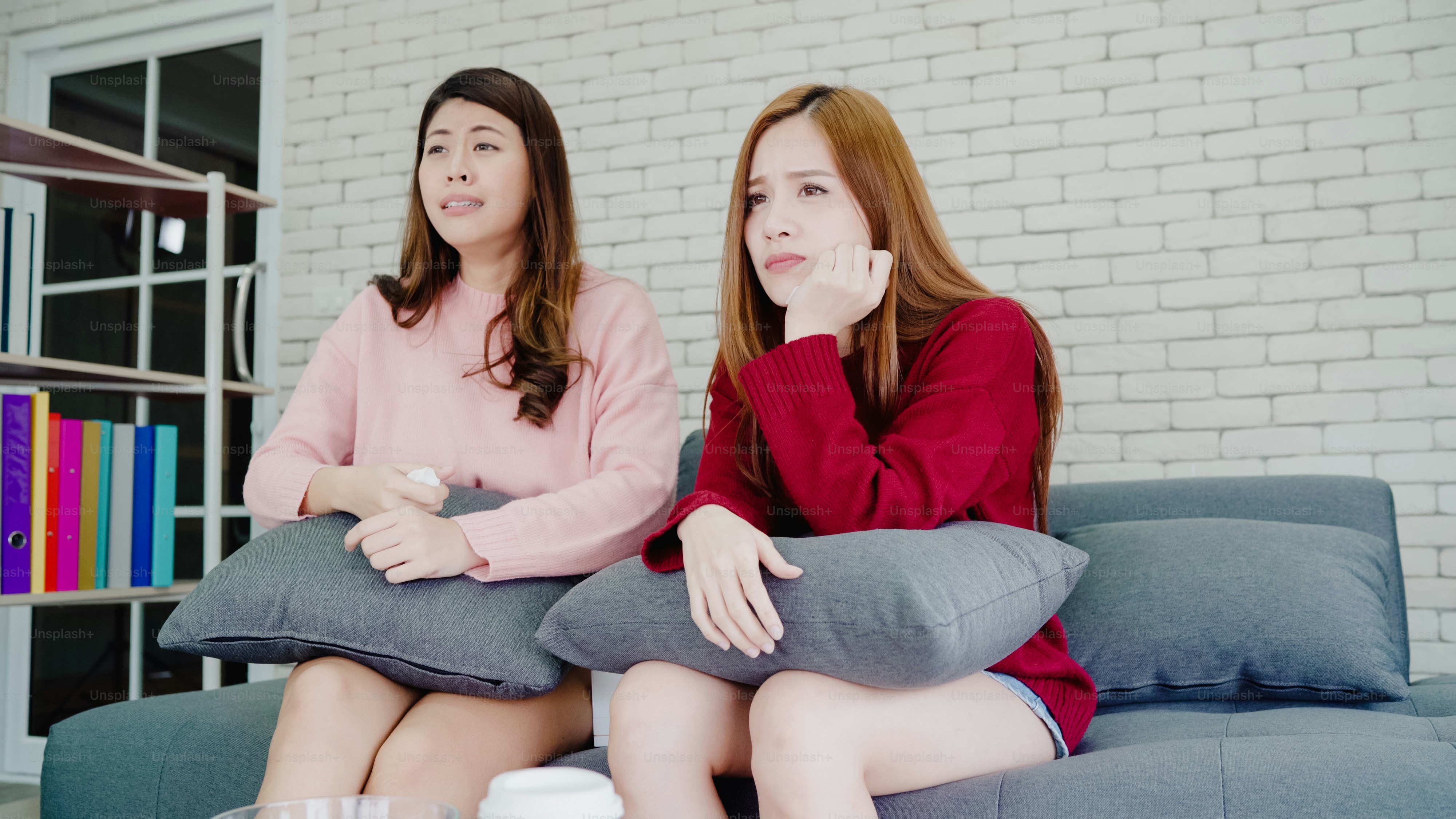 Two women in sweaters holding grey cushions on a sofa in a living room